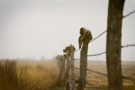 Barb Wire Fence