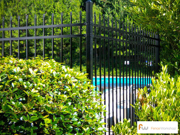 Beautiful pool fences