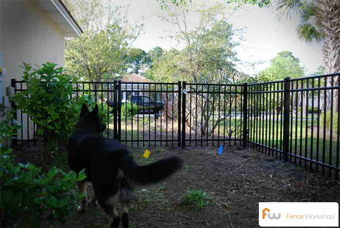  Dog Pet Fencing - Fence Workshop 